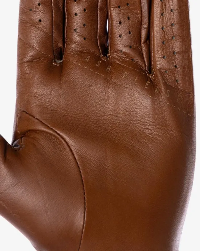 Accessories PREMIER 20 GOLF GLOVE Bourbon TravisMathew Golf Gloves