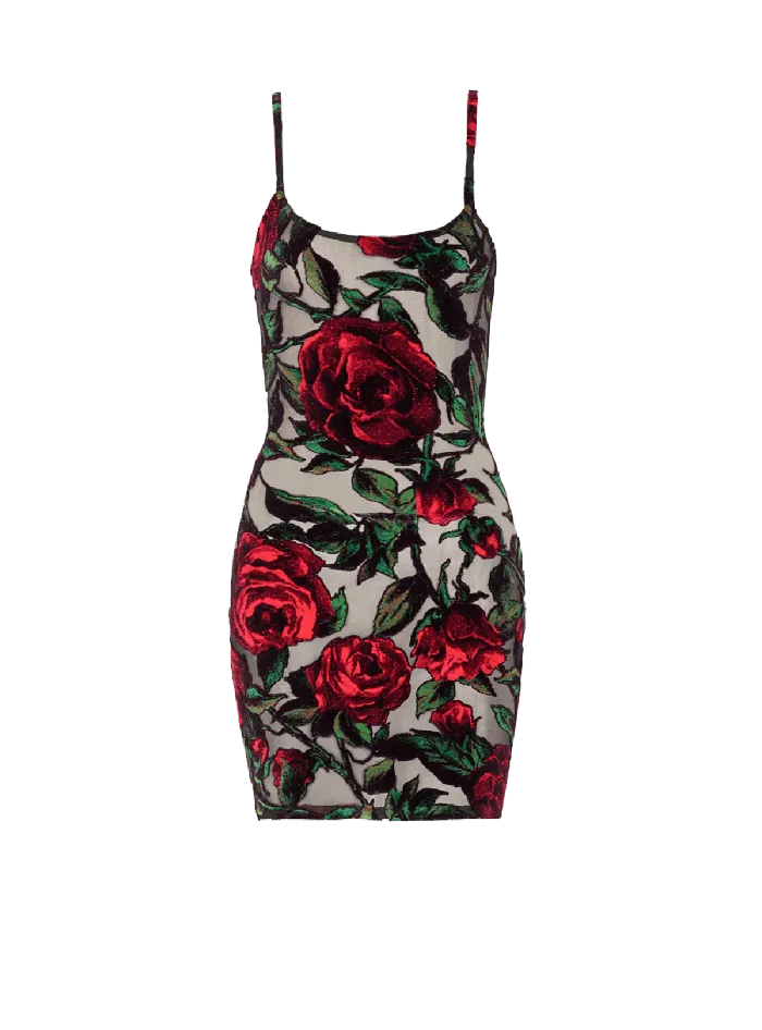 Balmain Burnout Velvet Dress With Rose Print Red Women Dresses