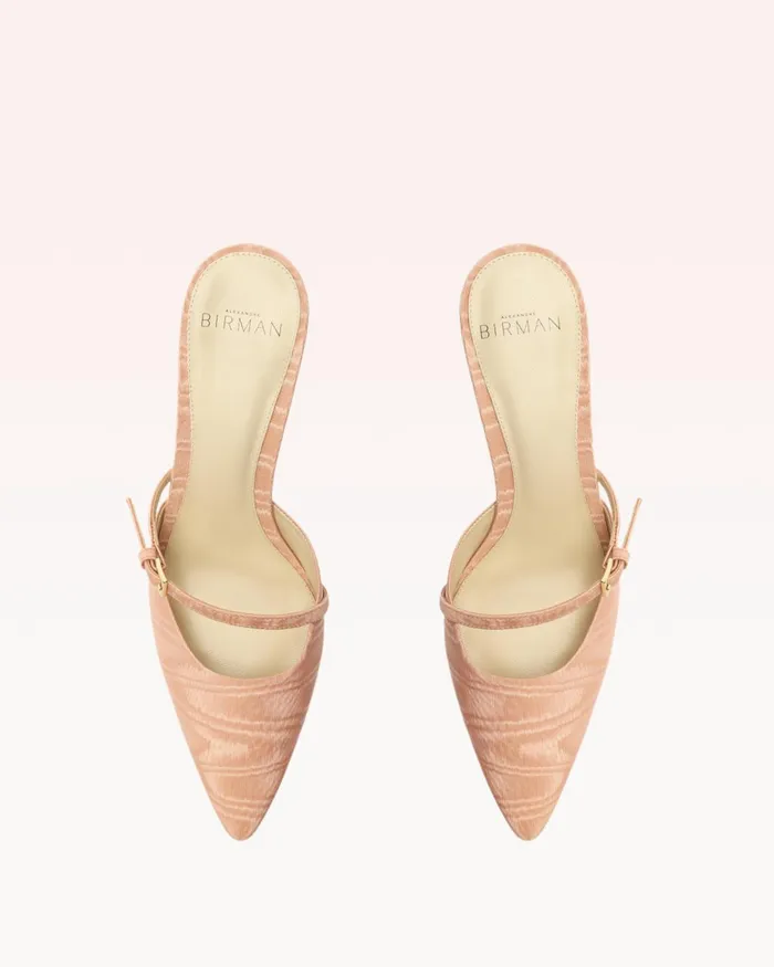 Jazzie 70 Mule Cashmere Cashmere Women Alexandre Birman Pumps