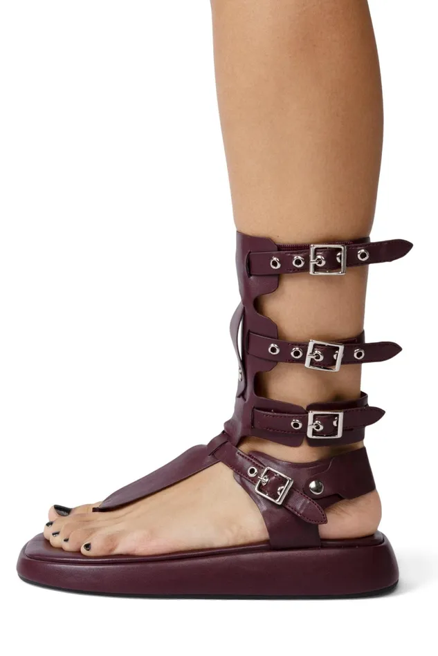 Jeffrey Campbell AMOZONIA Wine Women Flat