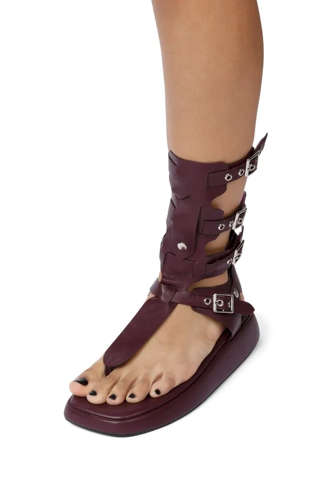 Jeffrey Campbell AMOZONIA Wine Women Flat