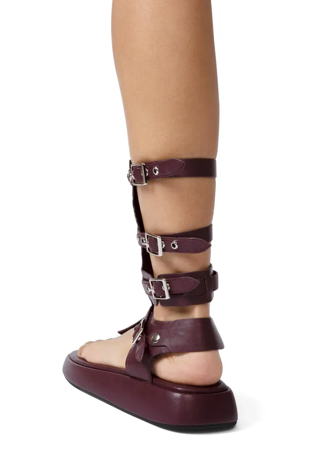 Jeffrey Campbell AMOZONIA Wine Women Flat