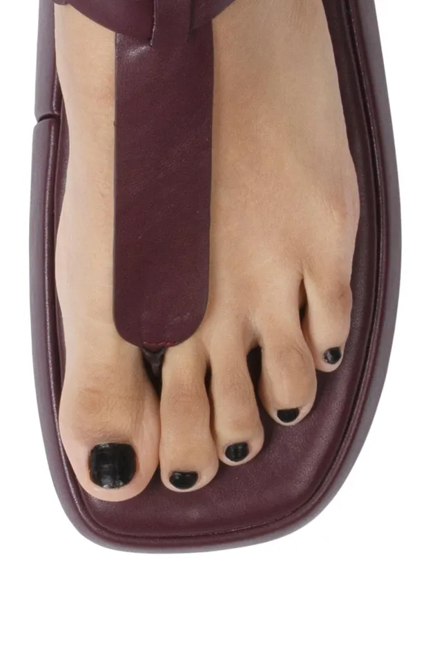 Jeffrey Campbell AMOZONIA Wine Women Flat