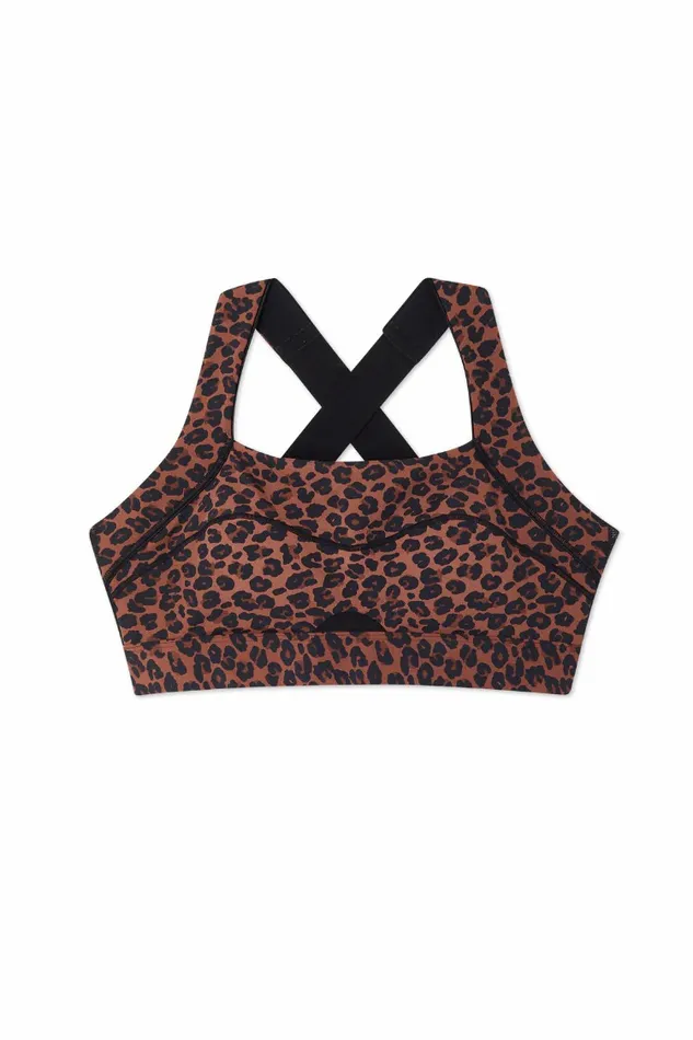 Never Fully Dressed Activewear Leopard Sports Bra 8211 Women