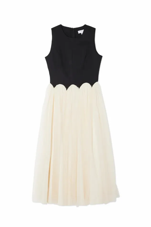 Never Fully Dressed Petite Black And Cream Monika Dress Petite 8211 Women
