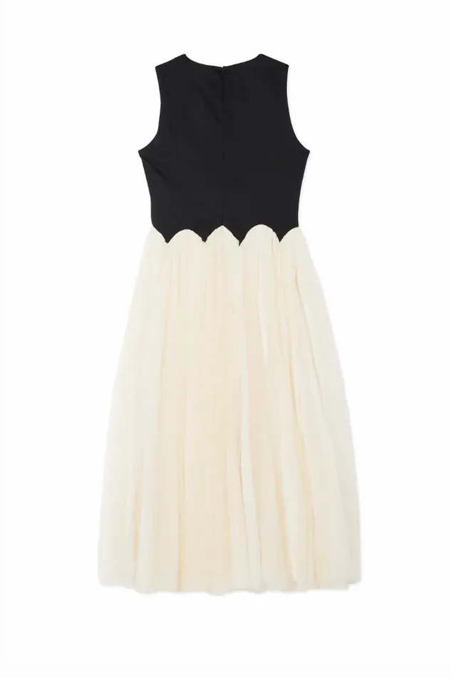 Never Fully Dressed Petite Black And Cream Monika Dress Petite 8211 Women