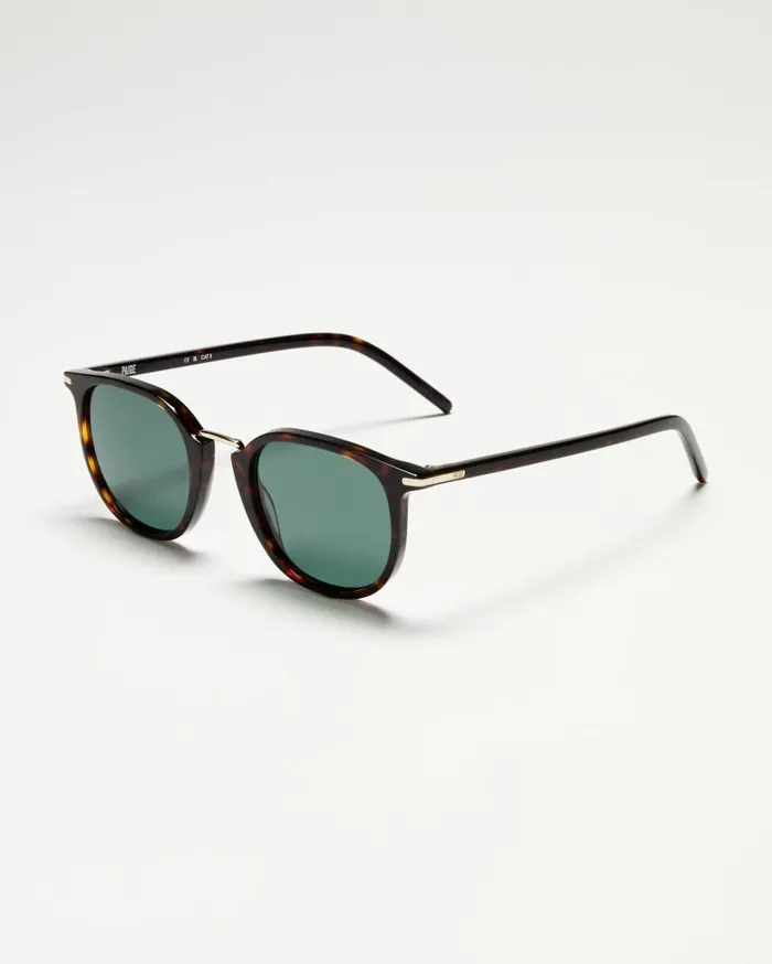 Shop Sunglasses Women PAIGE Adam Sunglasses 8211 Tortoise