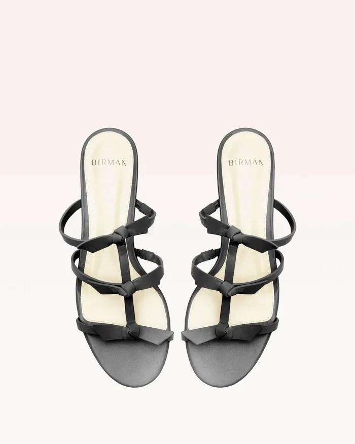Slim Lolita Slide Black Black Women Alexandre Birman Flats