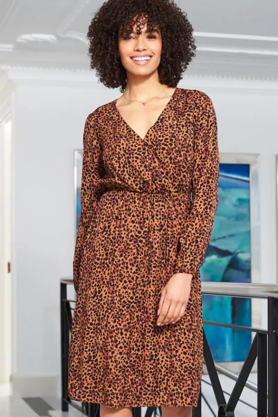 Sosandar Leopard Print V Neck Stretch Waist Dress Women Dresses