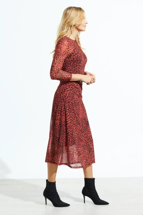 Sosandar Red Leopard Print Mesh Dress Red Women Dresses