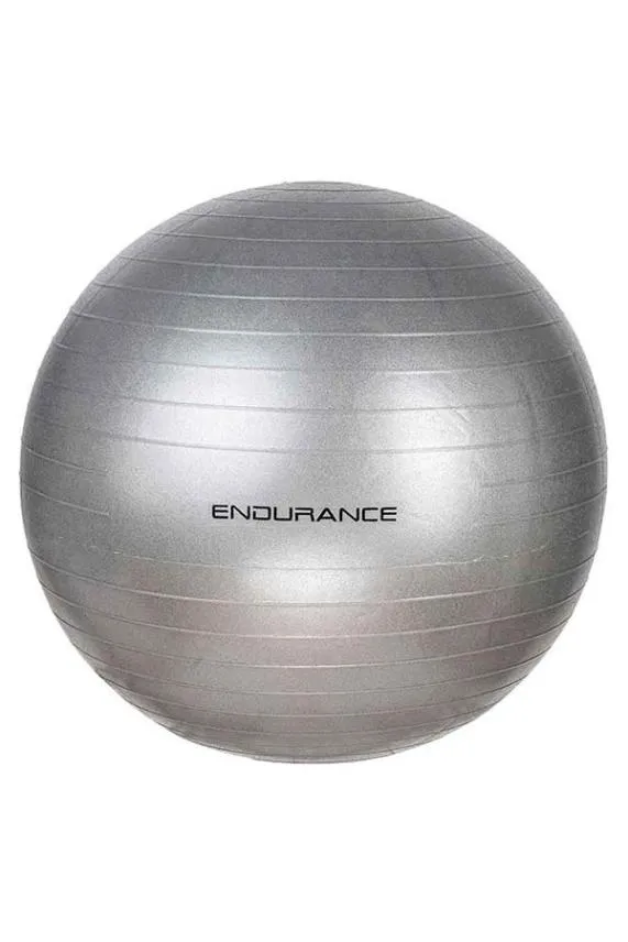 Sosandar Silver Yoga and Fitness Gym Ball Silver Women Activewear