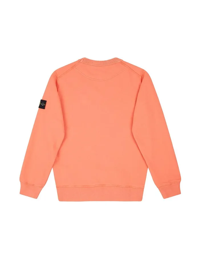 Stone Island Sweatshirts 61340 Sweatshirt In Lobster 8211 Junior