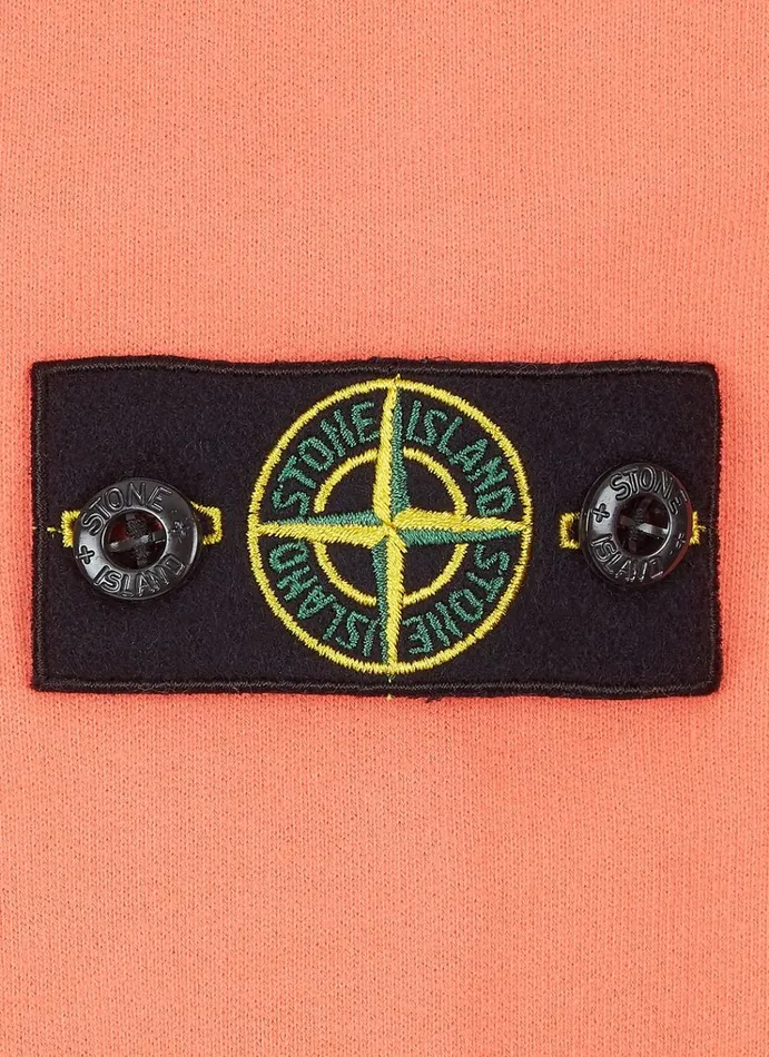 Stone Island Sweatshirts 61340 Sweatshirt In Lobster 8211 Junior