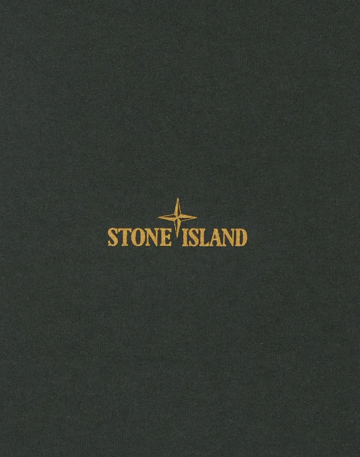 Stone Island TShirts 2Ns81 Paint Stroke 2 Short Sleeve TShirt In Dark Forest 8211 Mens