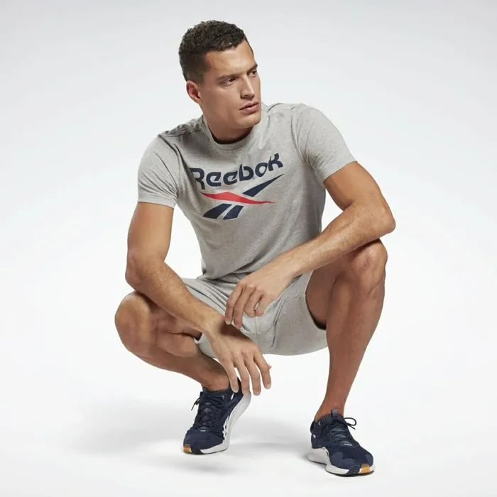 TShirts and Graphic Tees Mens Reebok Graphic Series Stacked Tee Medium Grey Heather Vector Navy
