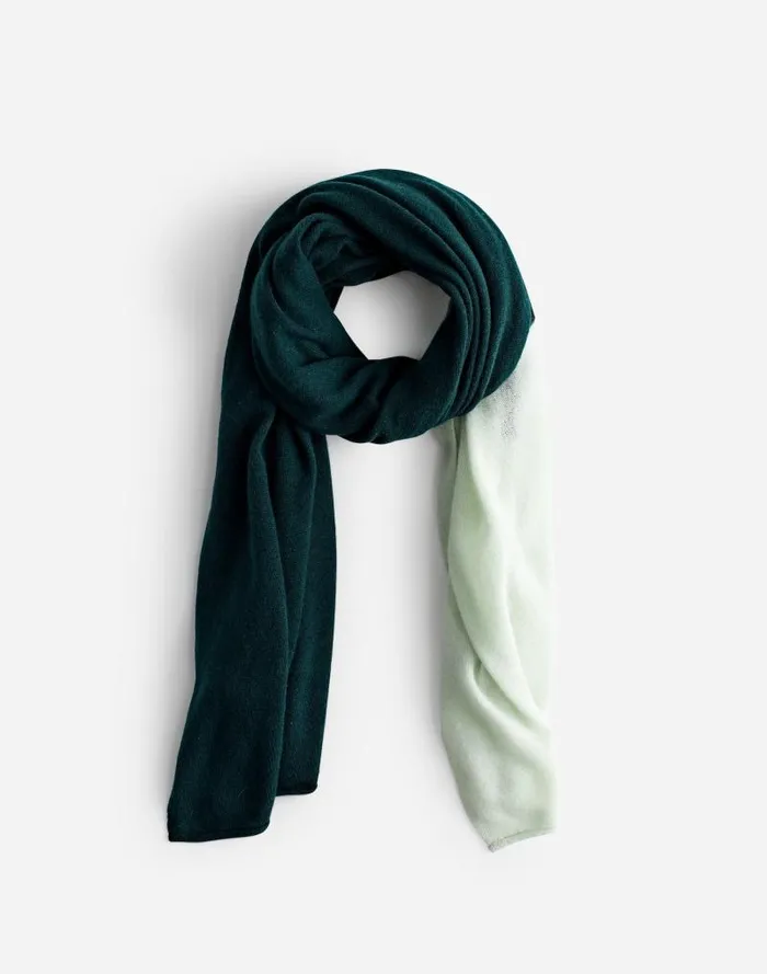 Women Colorblock Cashmere Scarf Hthr Luxury Forest Madewell Scarves