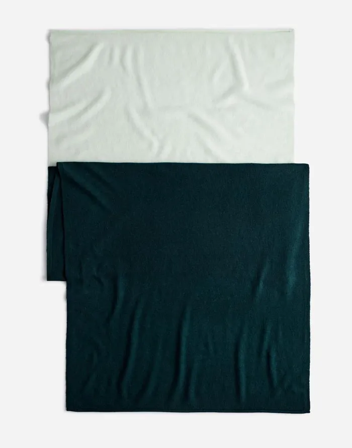 Women Colorblock Cashmere Scarf Hthr Luxury Forest Madewell Scarves