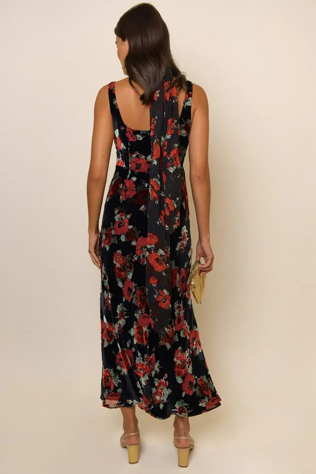 Women Dresses RIXO Benedict Black Poppy Burnout Women Dresses RIXO Benedict Black Poppy Burnout