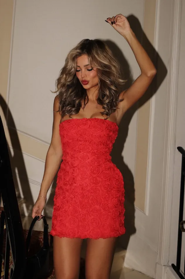 Women Evening Dresses Runaway The Label ROSALINE MINI DRESS Red