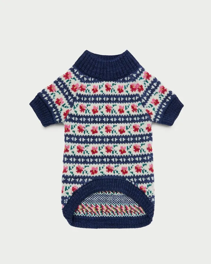 Women Knitwear Loeffler Randall Dog Sweater