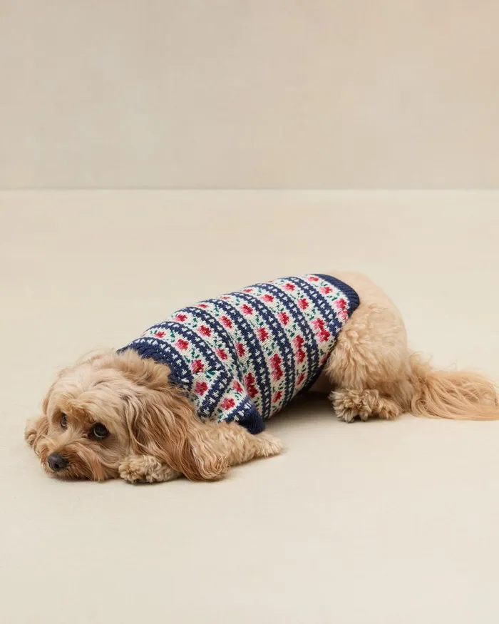 Women Knitwear Loeffler Randall Dog Sweater Women Knitwear Loeffler Randall Dog Sweater