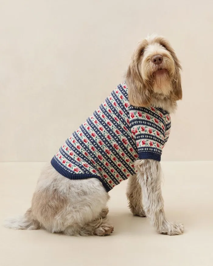 Women Knitwear Loeffler Randall Dog Sweater Women Knitwear Loeffler Randall Dog Sweater
