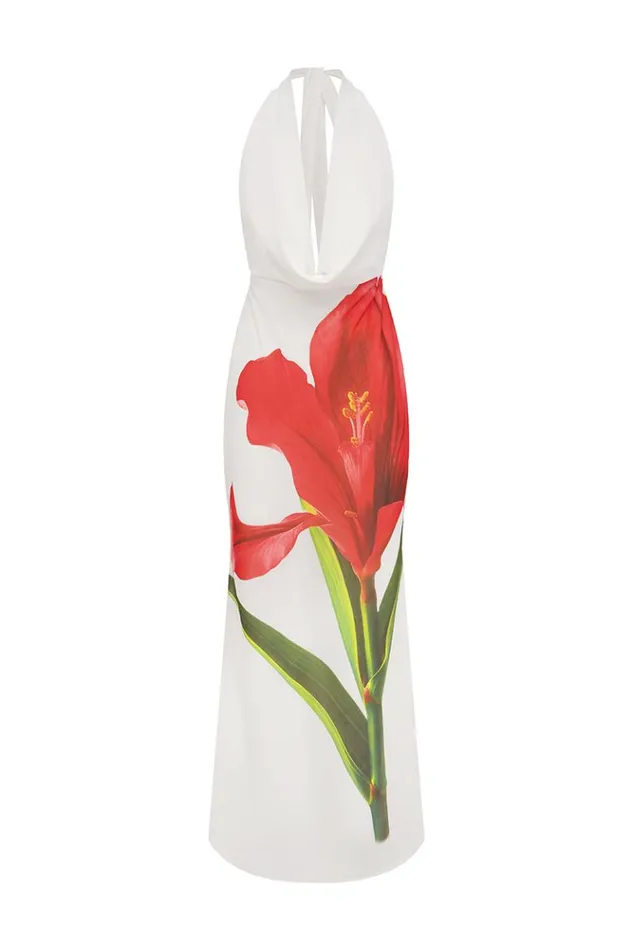 Women Maxi Dresses Runaway The Label JASMINA MAXI DRESS Red Lily