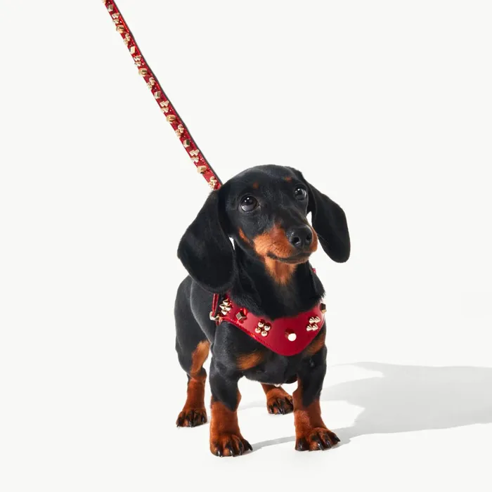 WomenMen Loubileash S Pet Leash 8211 Patent Calf Psychic And Spikes Carasky 8211 Loubi Red Christian Louboutin Pet Accessories WomenMen Loubileash S Pet Leash 8211 Patent Calf Psychic And Spikes Carasky 8211 Loubi Red Christian Louboutin Pet Accessories