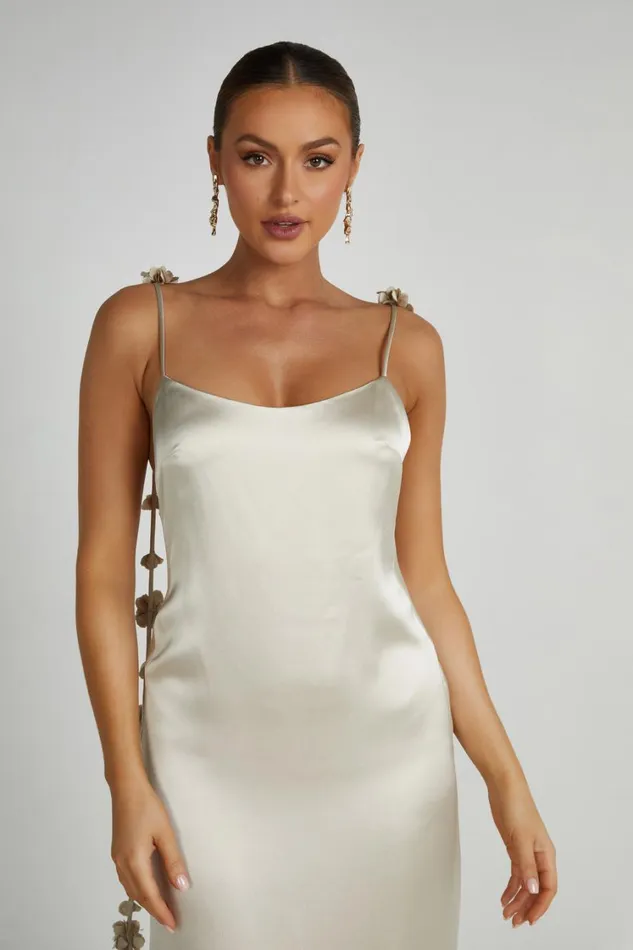 Women Meshki Dresses Elenora Rose Gown 8211 Champagne