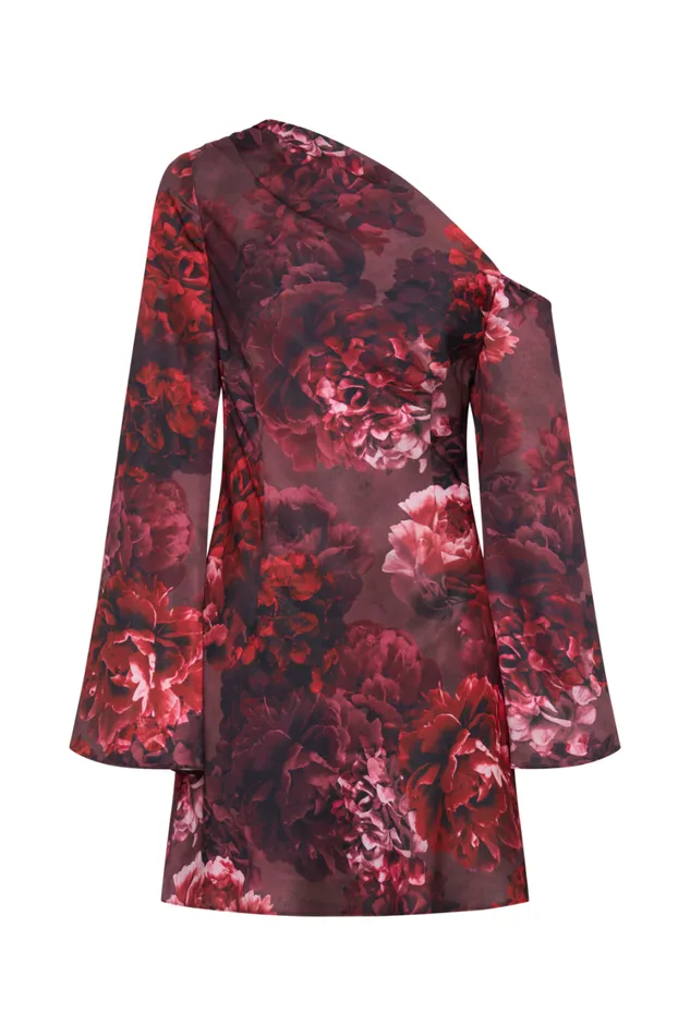 Women Meshki Dresses Nikita Long Sleeve Mini Dress 8211 Peony Print