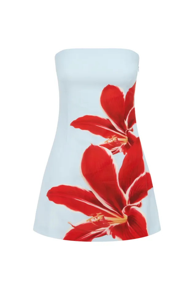 Women Mini Dresses Runaway The Label PRIMROSE MINI DRESS Red Lily