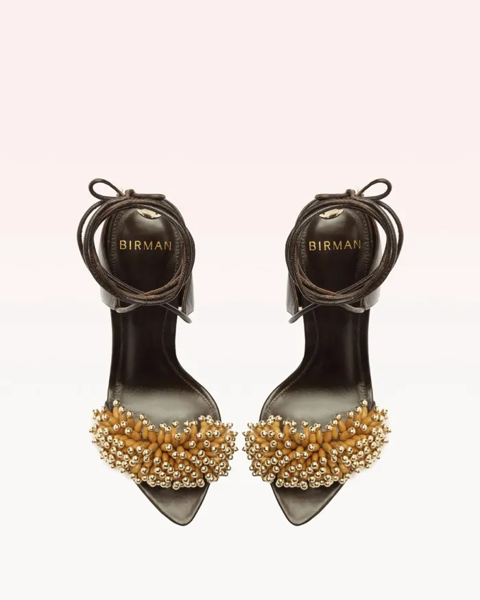 Zaya 100 Dark Brown Women Alexandre Birman Sandals